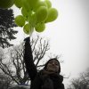 fot. Beata Jaśniak, fundacja ProArtis